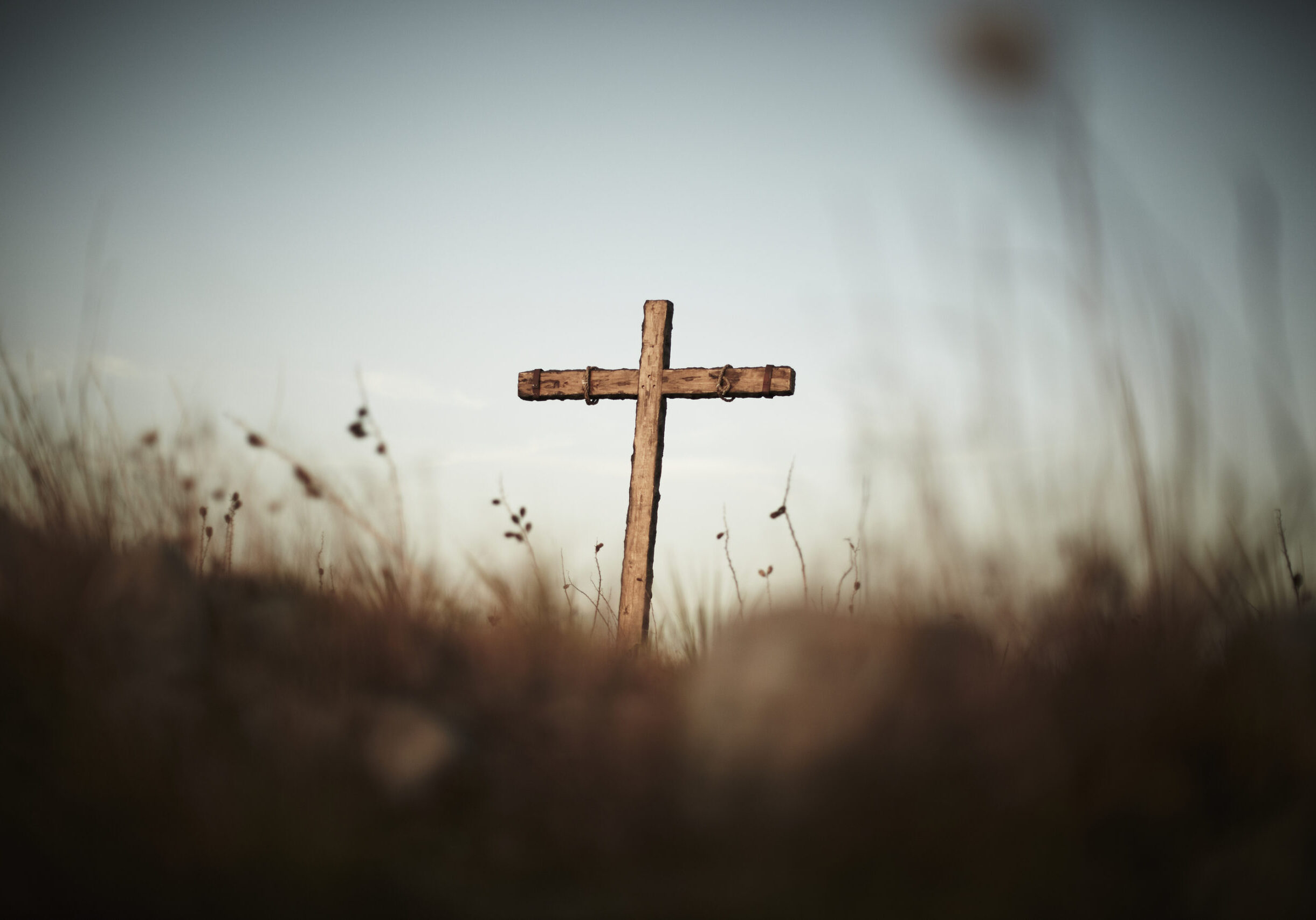 lightstock_2339_medium_james_maxwell